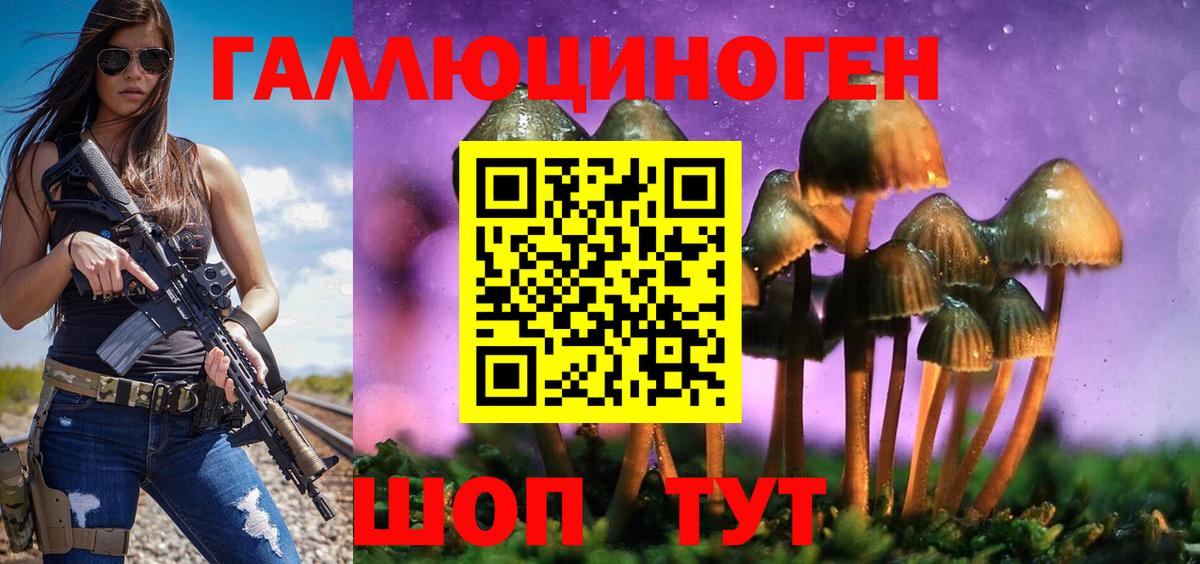 Псилоцибиновые грибы Magic Shrooms  Псилоцибиновые грибы Psilocybine cubensis  Рославль  Вход с VPN 